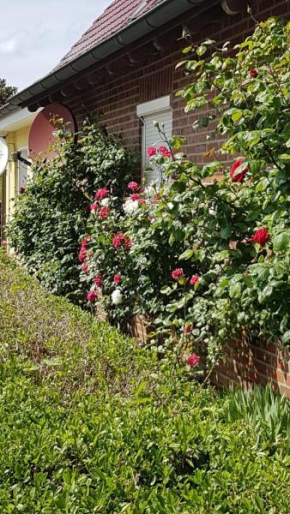 Ferienwohnung im Rosengarten - FeWo 2